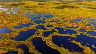 MartimoaapaFinland_EN-US3685817058.jpg