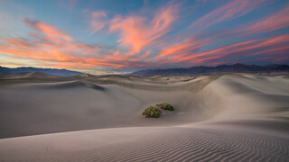 MesquiteFlats_EN-US0638943216.jpg