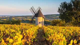 Santenay_ZH-CN5676942384.jpg