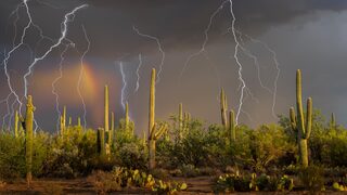 SonoranStorm_EN-US5792303901.jpg